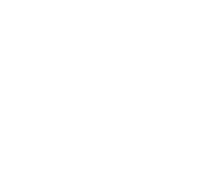 PwC_Outline_Logo_White PwC_Outline_Logo_White